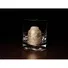Набор Jagerglass Бутылка + стаканы для виски с металл.вставками 21c Фото 2